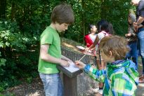 Umweltbildung für Schulklassen und Kindergärten in Bürgerpark und Stadtwald