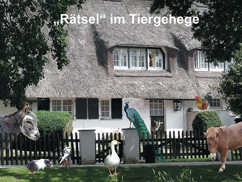 Deckblatt Tiergehege-Ralley